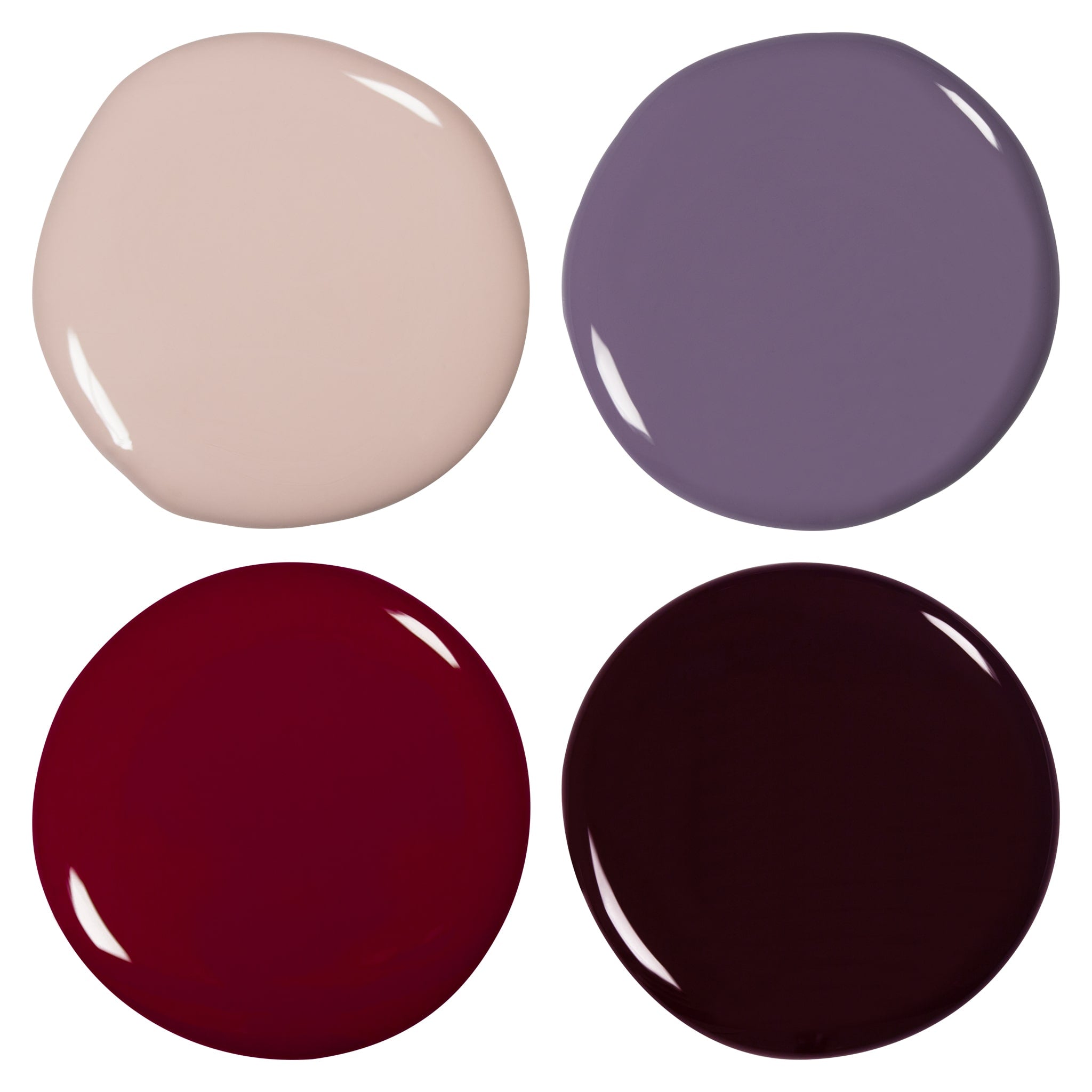 Amarena Cherry Collection