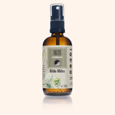 Wilde Möhre-Hydrolat Bio