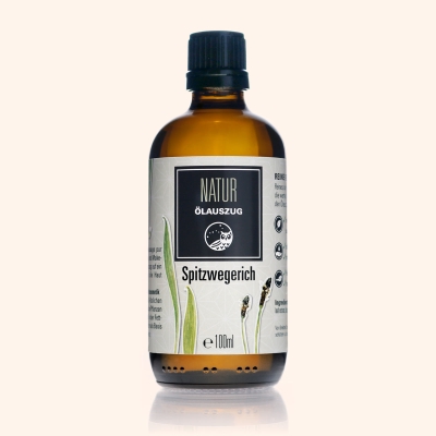 Spitzwegerich-Ölauszug Bio