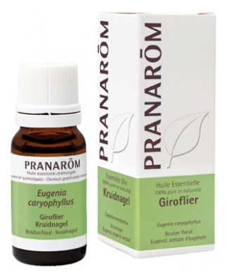 Pranarôm Ätherisches Öl Nelkenbaum (Eugenia caryophyllus) 10 ml