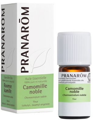Pranarôm Ätherisches Öl Kamille Edel (Chamaemelum nobile) 5 ml